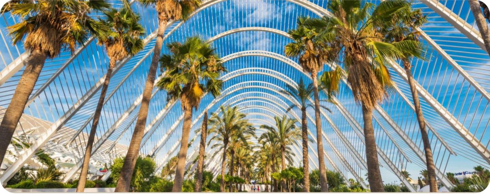 Afbeeldingsresultaat voor valencia