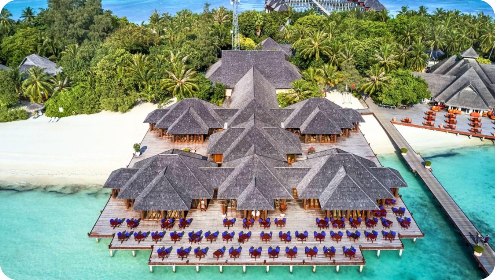 Afbeeldingsresultaat voor malediven