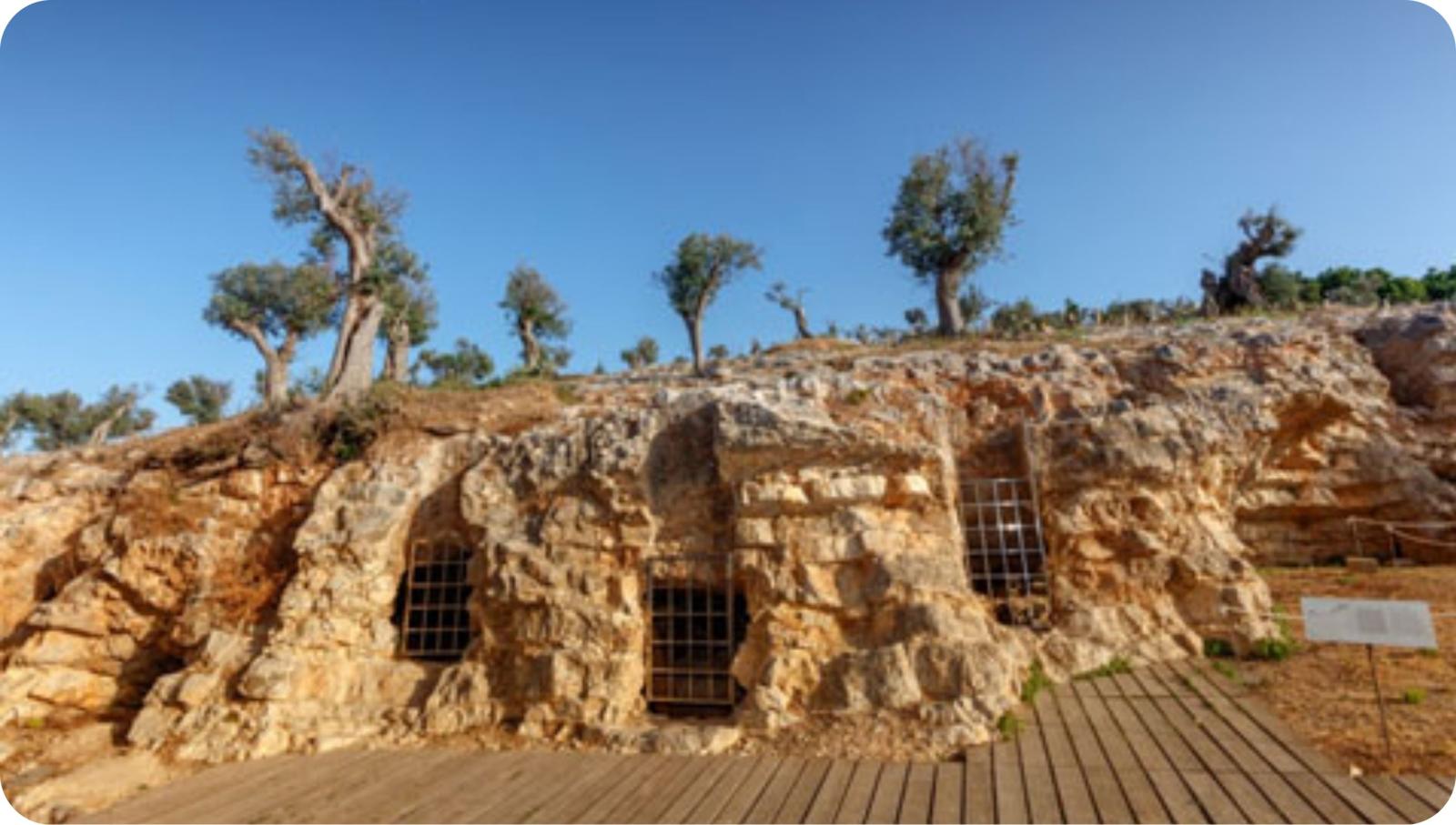 Necropolis del Puig des Molins Reviews | Tripexpert