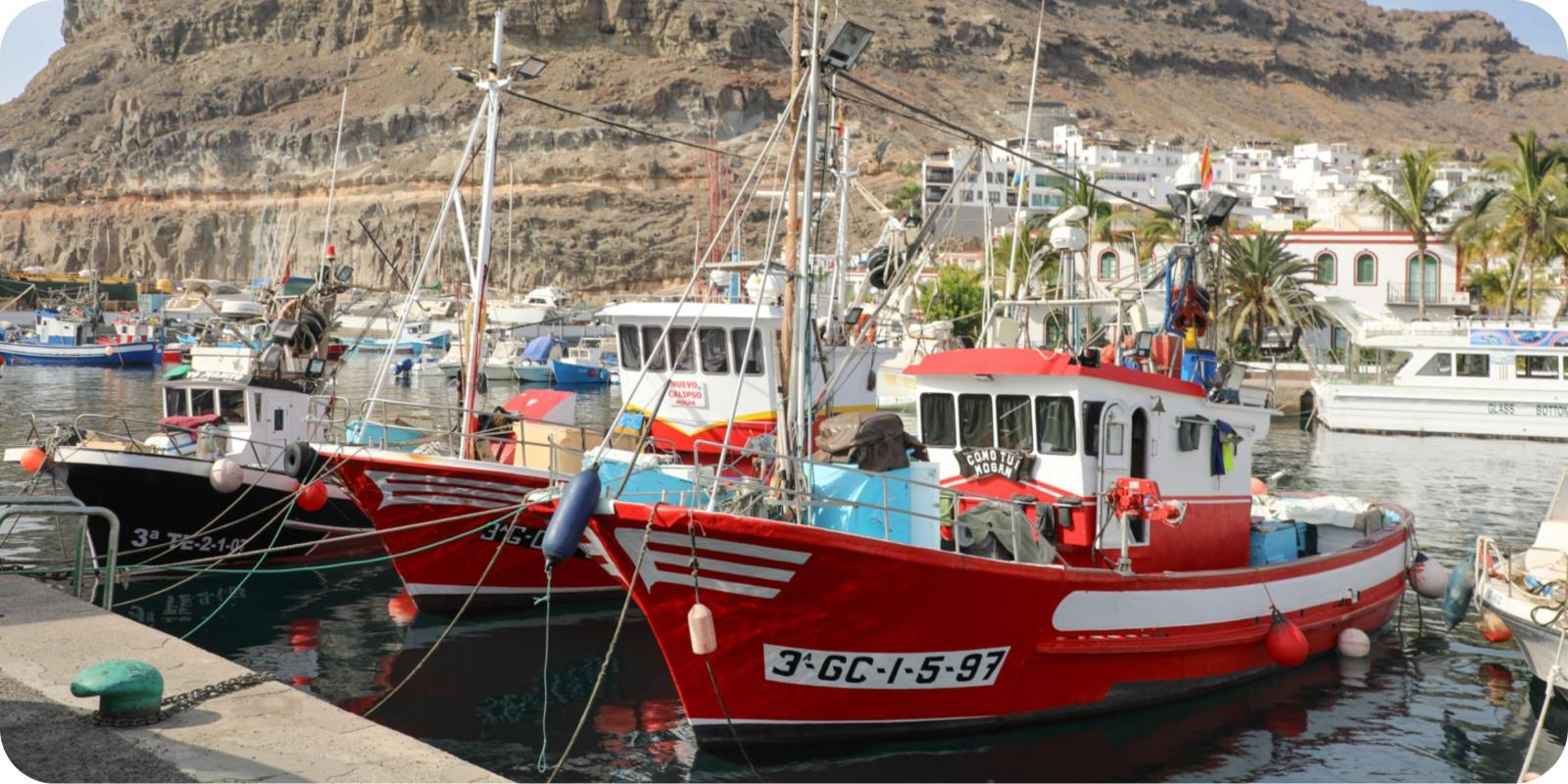 About | Patronato de Turismo de Gran Canaria | Routesonline