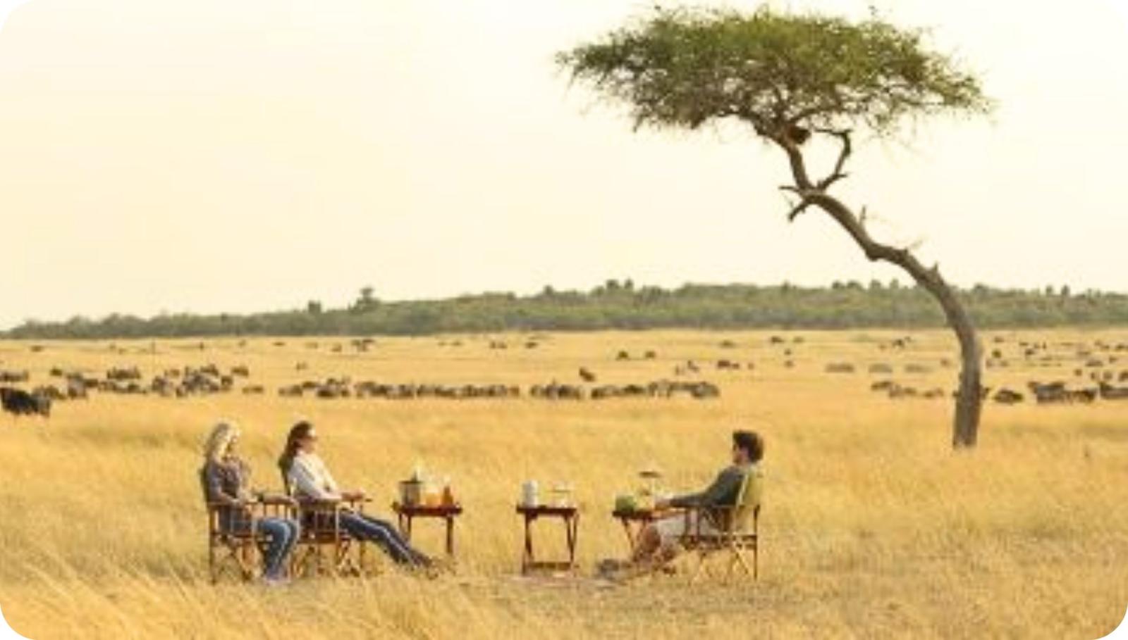 Afbeeldingsresultaat voor tanzania