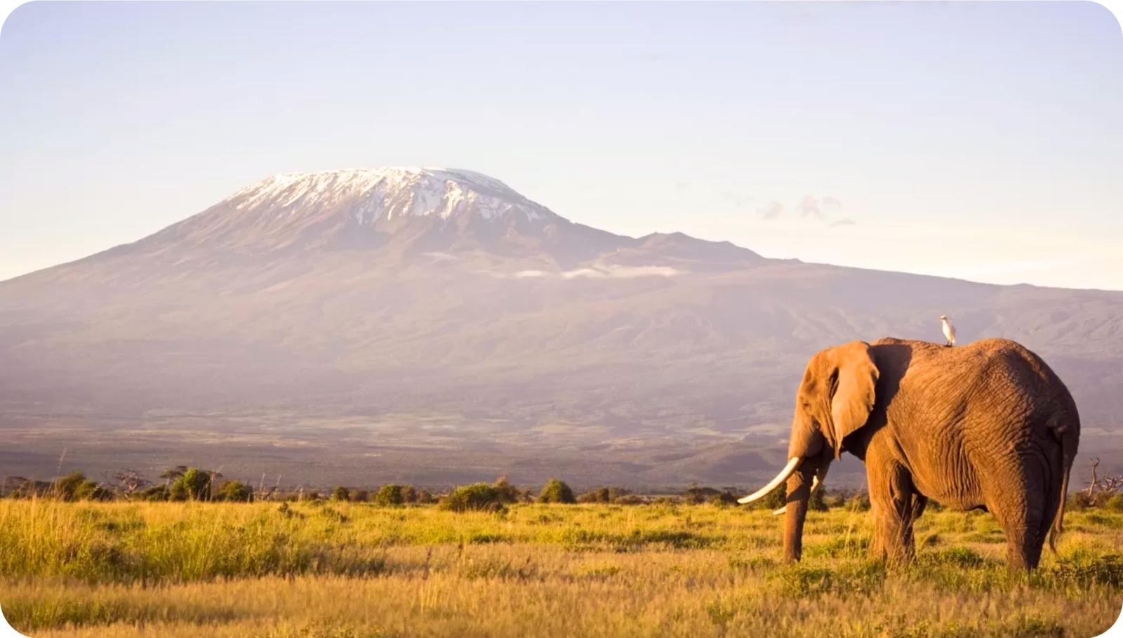 Rondreis Tanzania – Individuele Rondreizen Op Maat | Tourlane